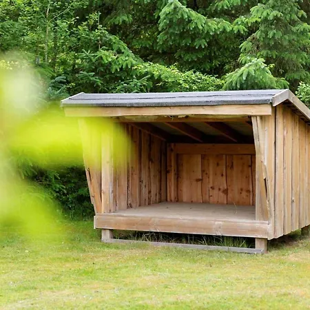 Bv458-blavand-fyrrevaenget-31 Ferienhaus *
